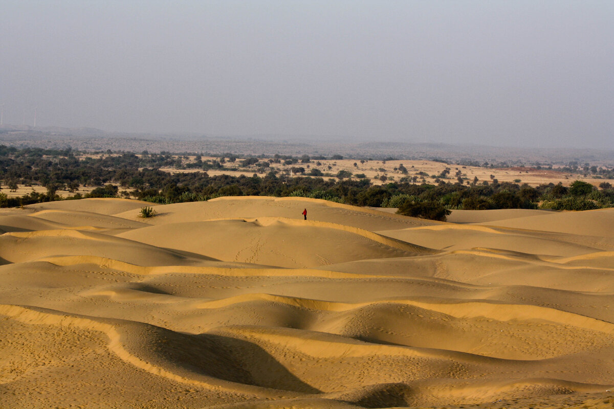 Пустыня Тар